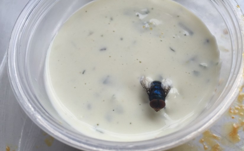 I’d like to hire the fly that landed in my ranch&nbsp;dressing.