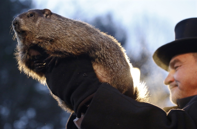 What Groundhog Day teaches us about making things&nbsp;up.