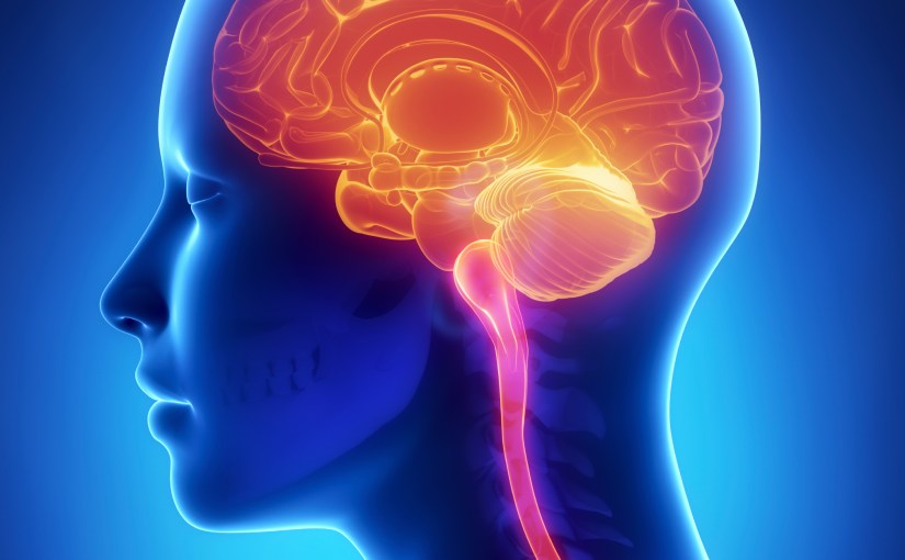 How to warm up your brain before you work, and&nbsp;why.