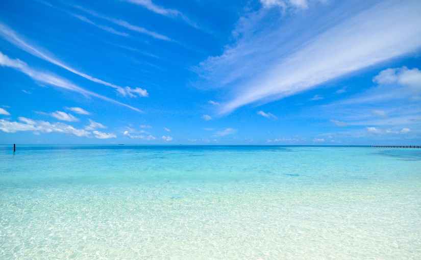 3 easy things you can do to prevent stress&nbsp;gunk.