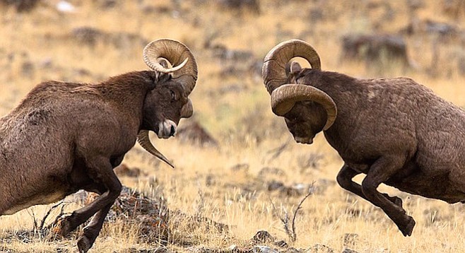 Why you should be thankful for your&nbsp;competitors.