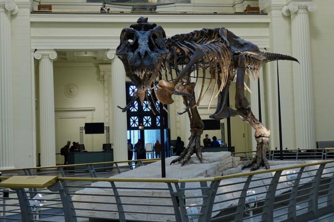 shutterstock_772295212.0