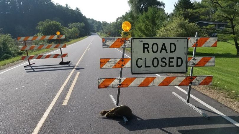 What do you do when you see a road closed ahead&nbsp;sign?