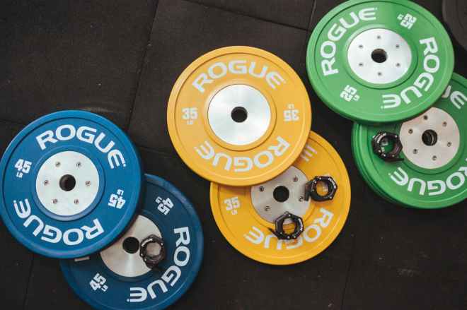 several rogue gym plates