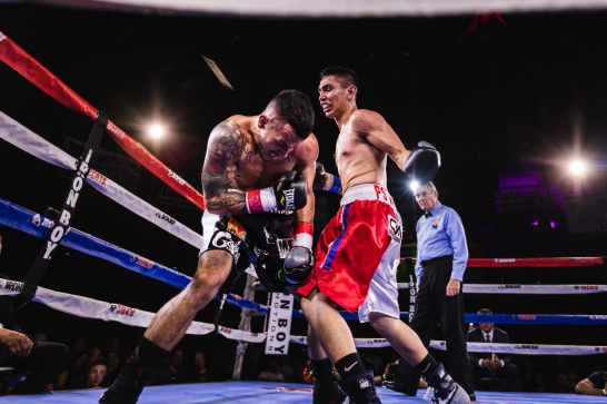 low angle photo of two men fighting in boxing ring