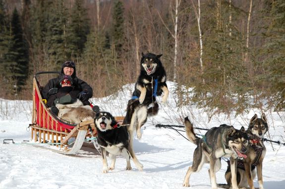 Dog-sledding-in-Alaska