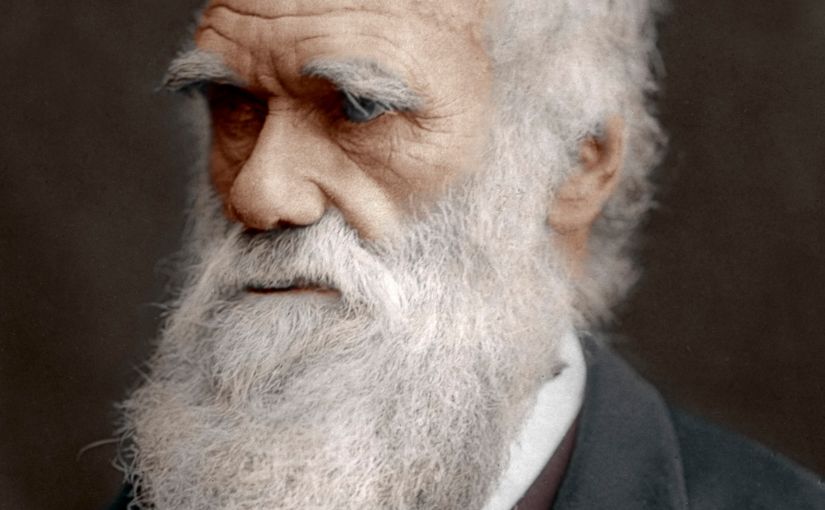 What we can learn about all this craziness from Charles&nbsp;Darwin.