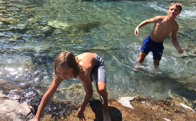 Why you should approach life like an&nbsp;otter.