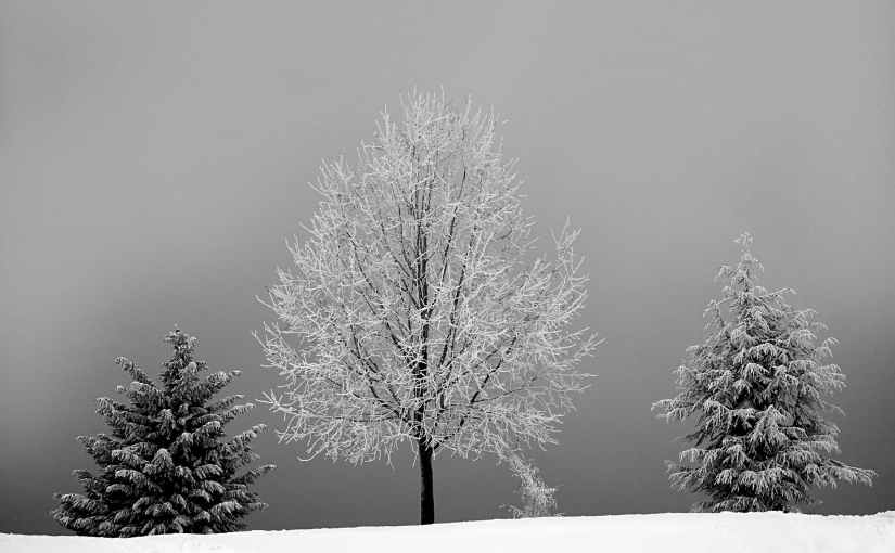 Why it is so valuable to wonder as you&nbsp;wander.