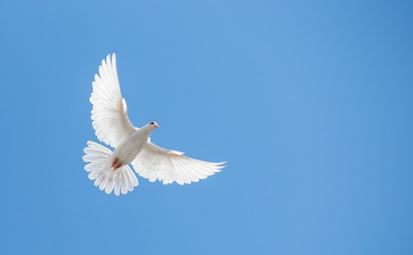 How even a short life can have a long&nbsp;impact.