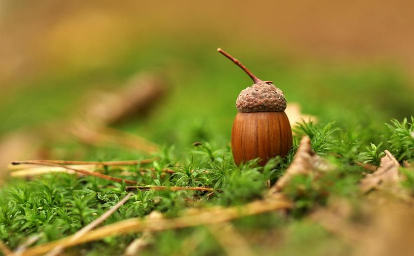 Do you have any idea what you are capable&nbsp;of?