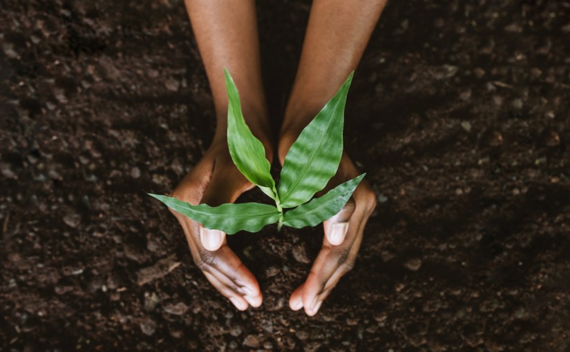 Are you in soil that supports your&nbsp;seed?