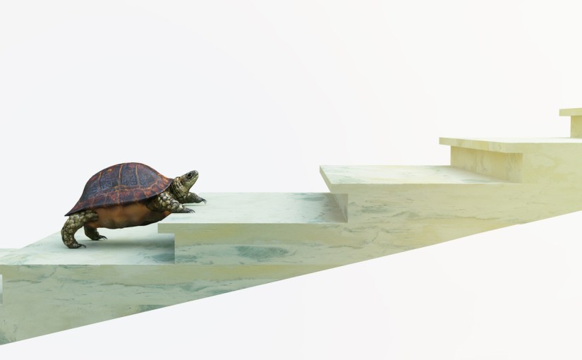 Why you need to have a need for&nbsp;speed.